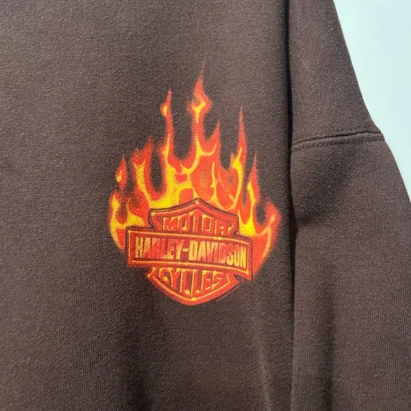 Brown Hoodie with Flame Graphics